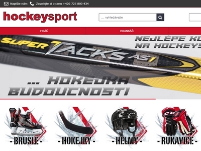 hockeysport